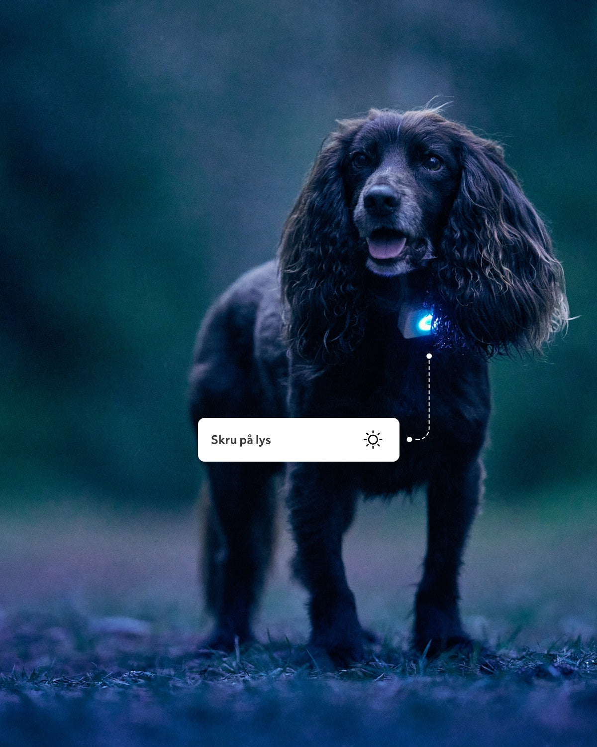 Lildog 2 GPS tracker for dogs